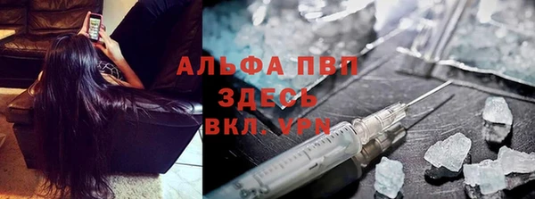 стаф Арсеньев