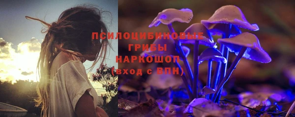 стаф Арсеньев