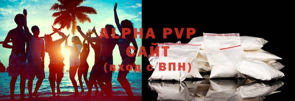 стаф Арсеньев