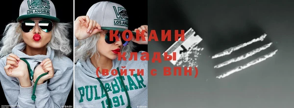 стаф Арсеньев