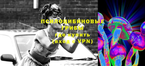 стаф Арсеньев