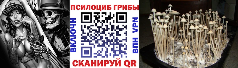 Галлюциногенные грибы Cubensis  Красноуральск 